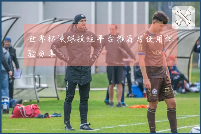世界杯滚球投注平台推荐与使用体验分享