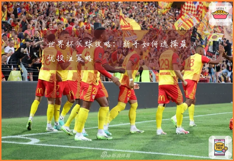 世界杯买球攻略：新手如何选择最优投注策略