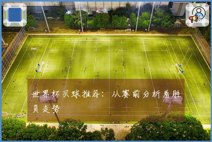 世界杯买球推荐：从赛前分析看胜负走势