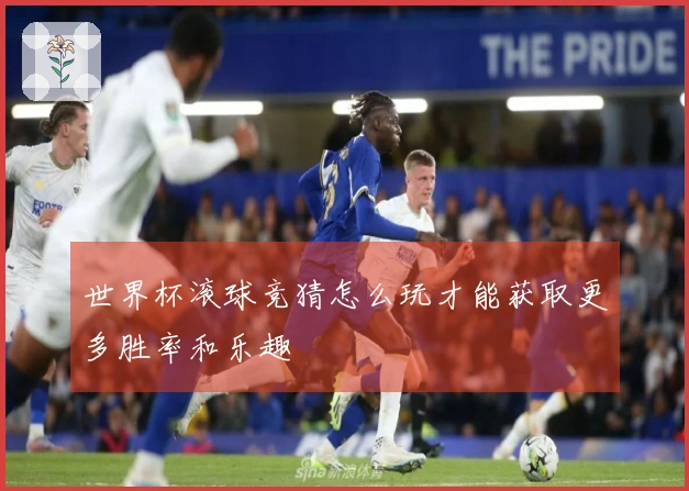 世界杯滚球竞猜怎么玩才能获取更多胜率和乐趣