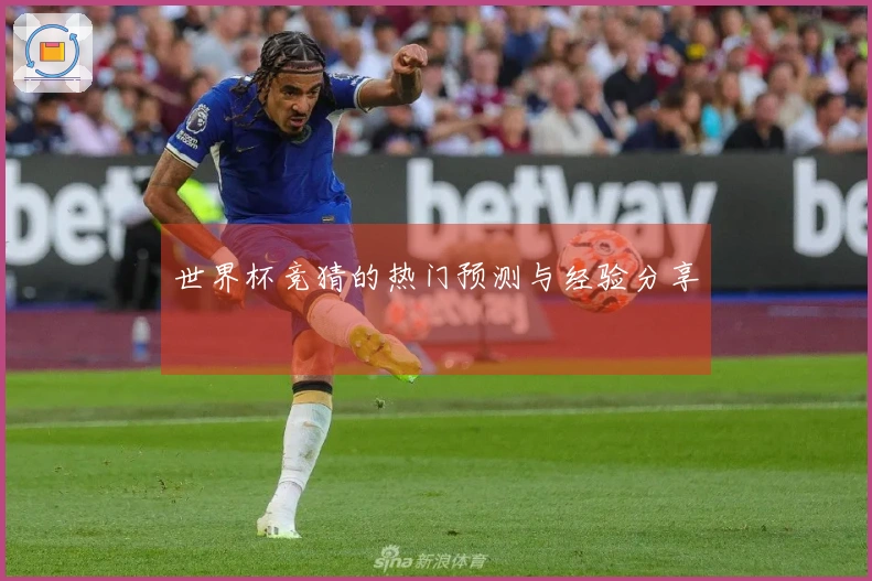 世界杯竞猜的热门预测与经验分享