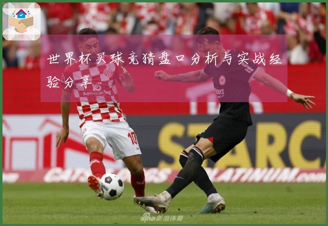 世界杯买球竞猜盘口分析与实战经验分享