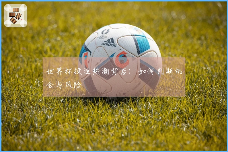 世界杯投注热潮背后：如何判断机会与风险