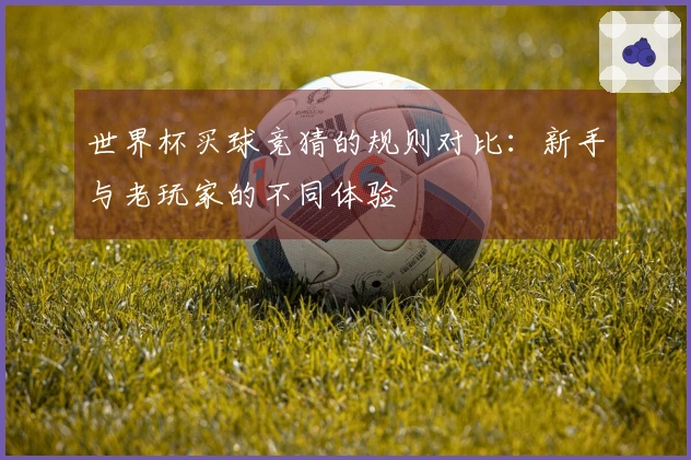 世界杯买球竞猜的规则对比：新手与老玩家的不同体验