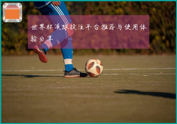 世界杯滚球投注平台推荐与使用体验分享