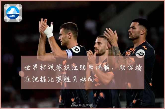 世界杯滚球投注赔率详解，助你精准把握比赛胜负动向