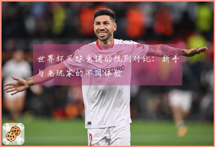 世界杯买球竞猜的规则对比：新手与老玩家的不同体验