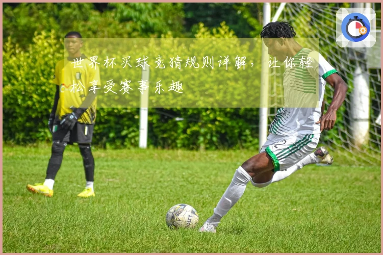 世界杯买球竞猜规则详解，让你轻松享受赛事乐趣
