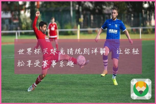 世界杯买球竞猜规则详解，让你轻松享受赛事乐趣