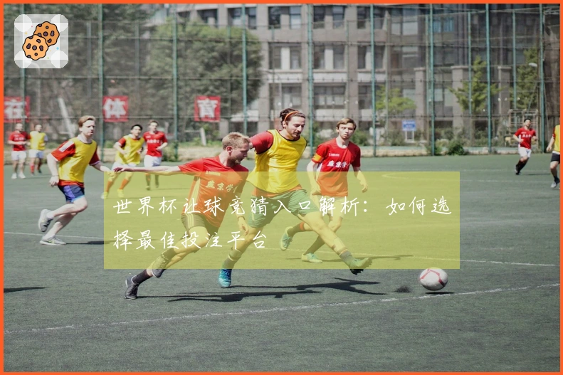 世界杯让球竞猜入口解析：如何选择最佳投注平台